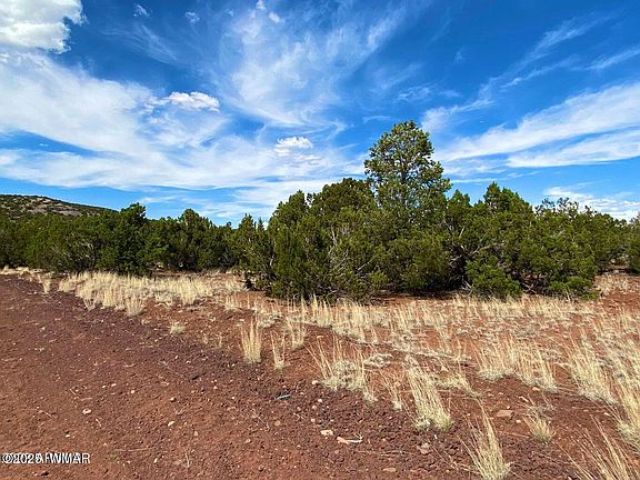 4th image of County Road 8271 Lot 10