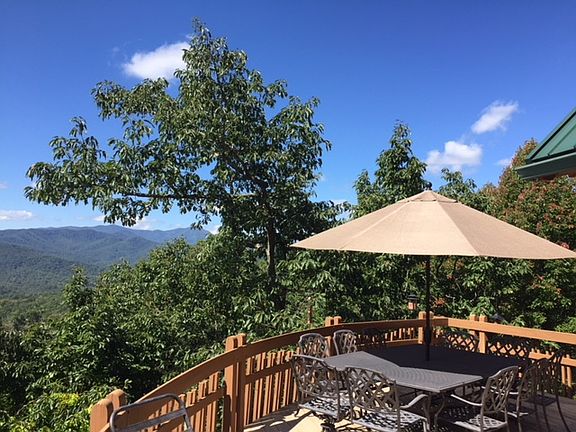 3rd image of 1417 Angels Way Ln
