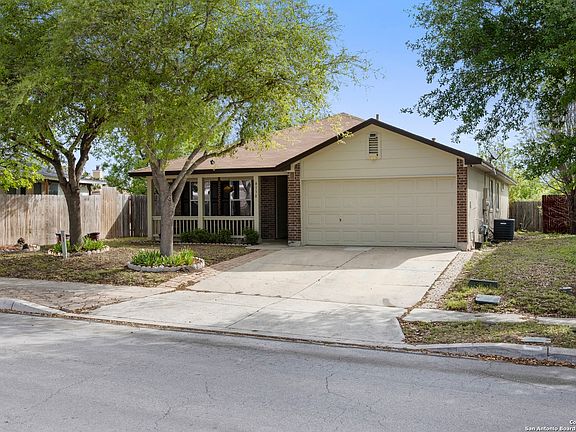 2nd image of 4130 texas palm