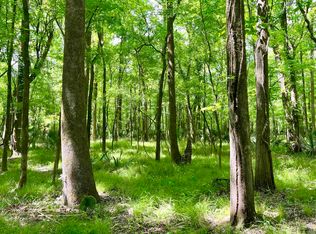 5 Highway 74 St, Saint Gabriel, LA 70776