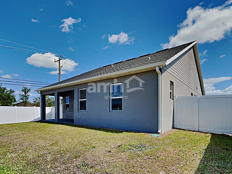 1306 Celery Palm Cv — Photo 21