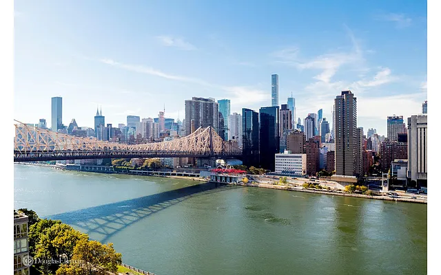 Rented by Douglas Elliman | media 6