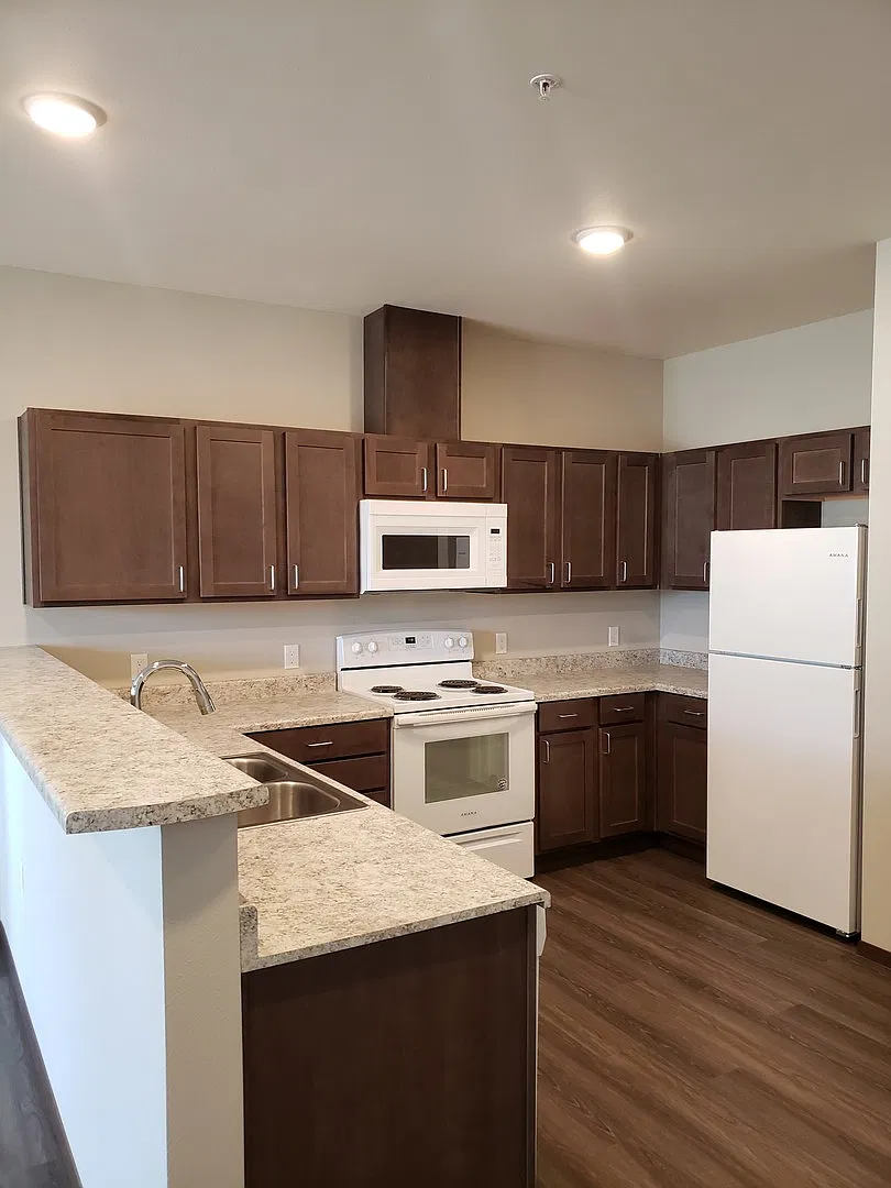 Olive Court Apartments — Photo 4