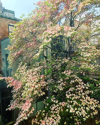 Rented by New York Manhattan Real Estate Incorporated | media 46