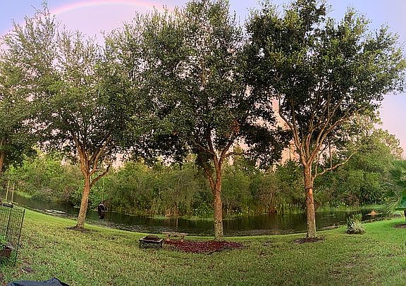 Backyard-1