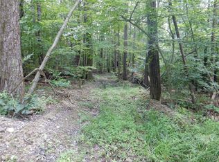 Chaffee Creek Rd, Newfield, NY 14867