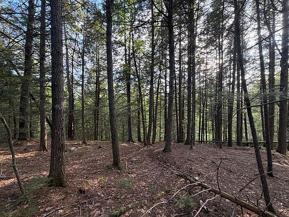 4th image of Lot 41-1 Bottle Lake Road