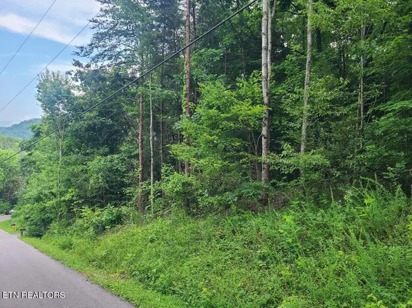 LOT 30 Hawkeye Vw, Sevierville, TN 37876