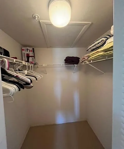 Master bedroom closet walk in