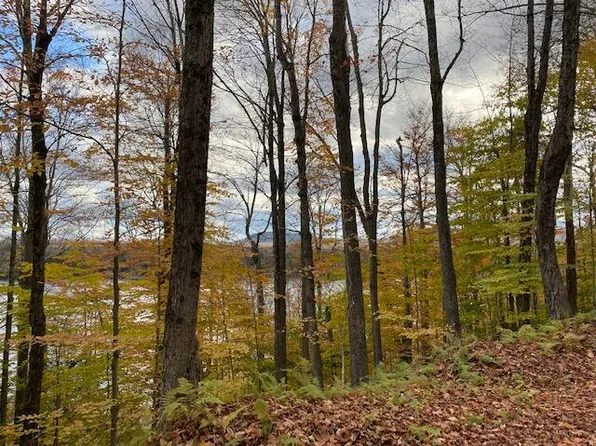 0 Mohawk Dr E, Old Forge, NY 13420
