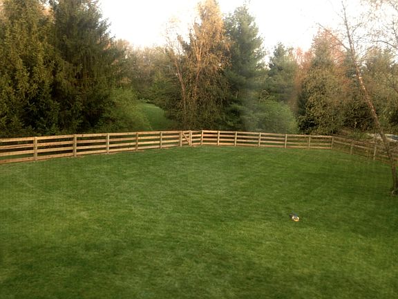 Large Backyard