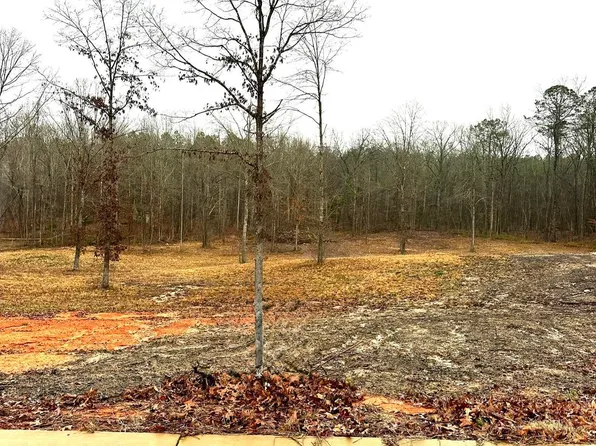 107 Olivia Ln #4, Woodstock, AL 35188