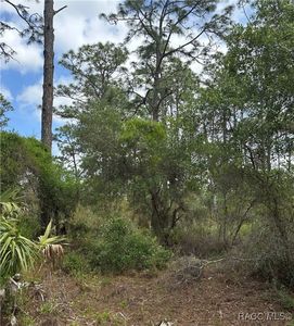 11647 W Cockscomb Dr, Crystal River, FL, 34428