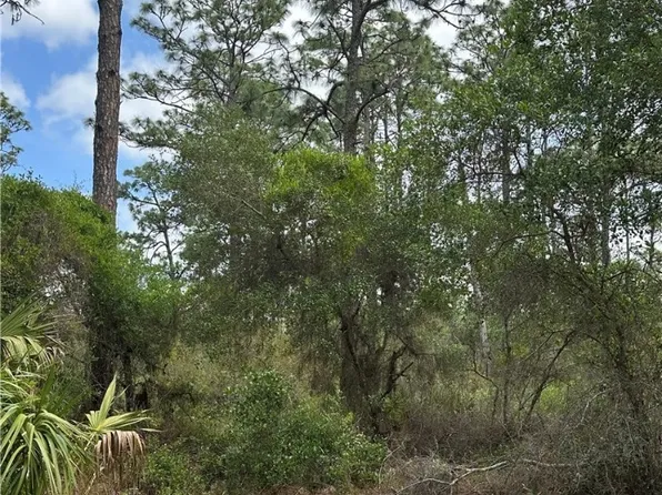 11647 W Cockscomb Dr, Crystal River, FL 34428