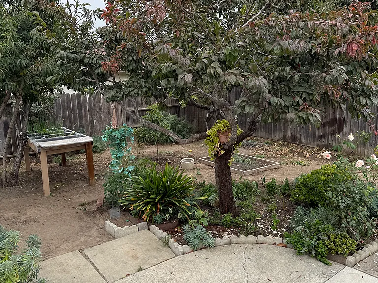 525 E Church St — Photo 10