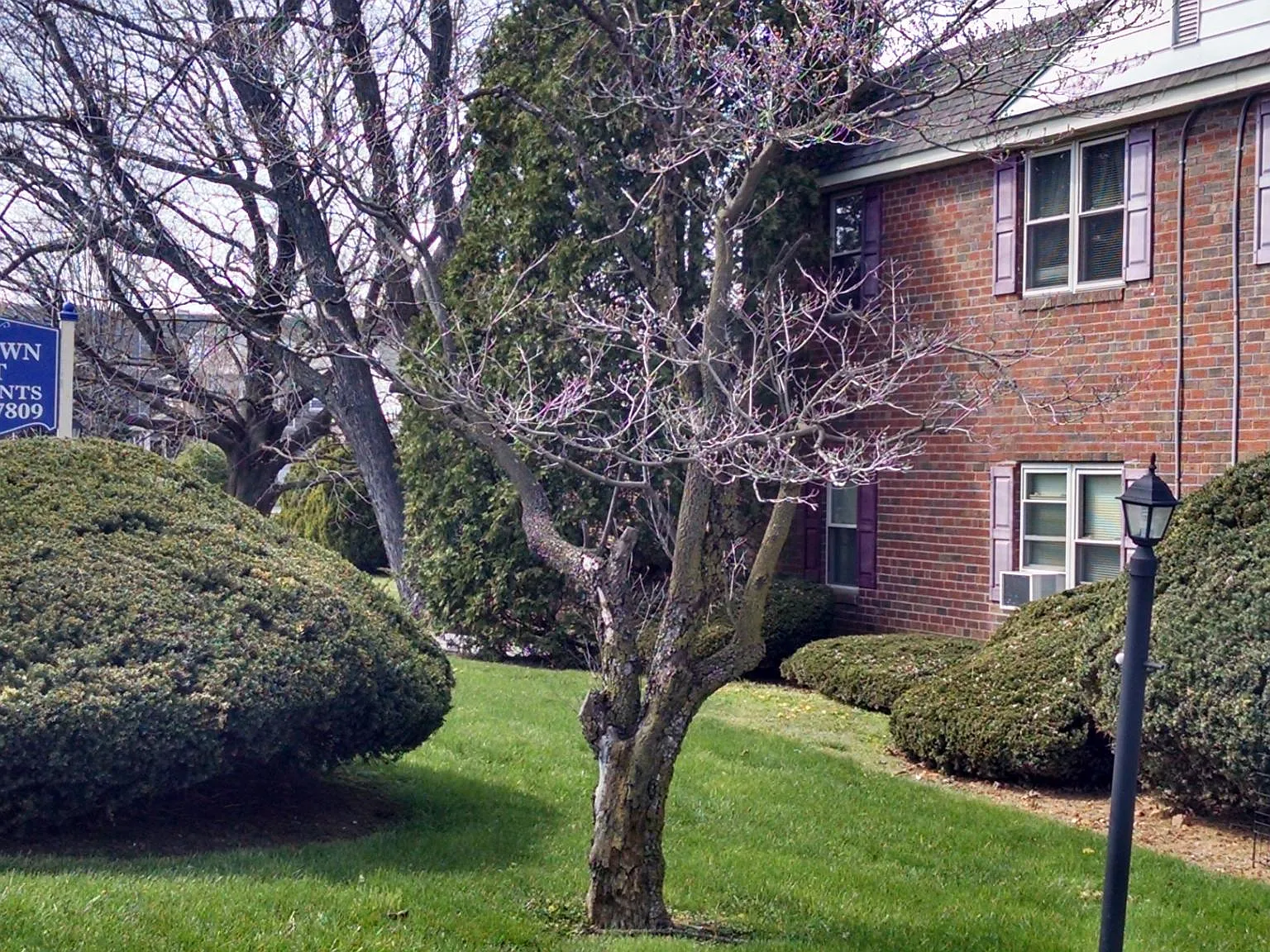 1 bed, 725 sqft, $1,585 — Photo 1