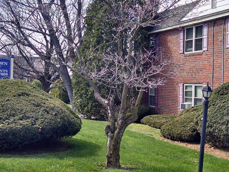 3209 W Chester Pike — Photo 1
