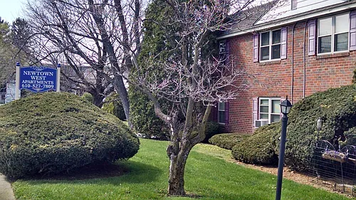 3209 W Chester Pike Photo 1