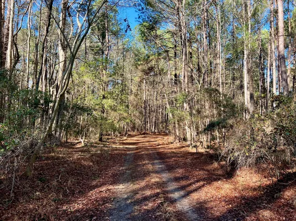 1412 Rigby Rd, Reevesville, SC 29471