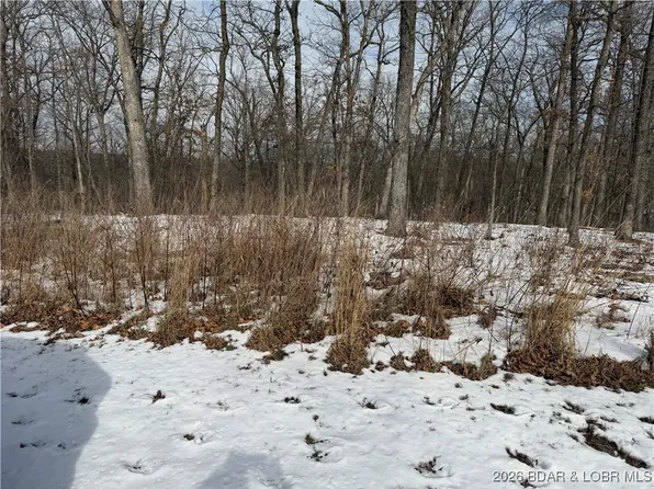 1046 Bittersweet Rd, Lake Ozark, MO 65049