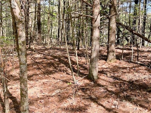 5th image of Lot #98 Mallie Drive