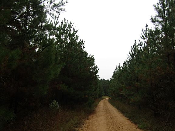 4th image of 1324 Gum Grove Rd SW