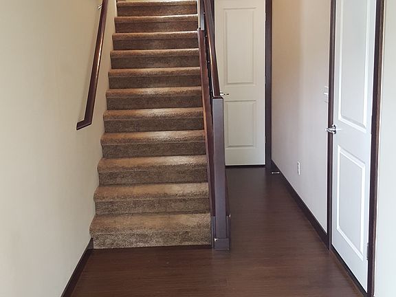Lower Level with Storage Closet