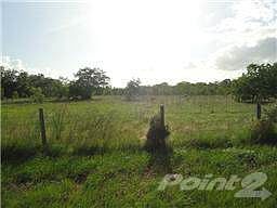 Whoa honey, bring the horses!