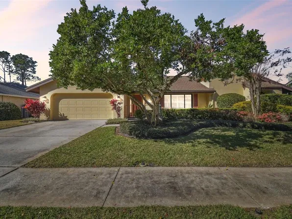 14031 Shady Shores Dr, Tampa, FL 33613