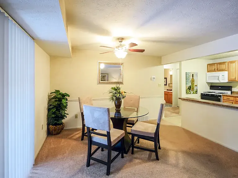1 bedroom dining area