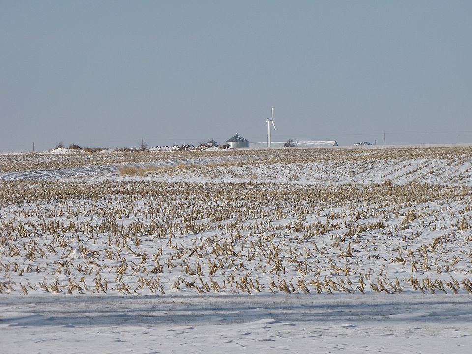 View West