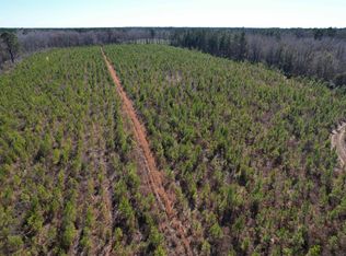 Holliman Rd, Greeleyville, SC 29056