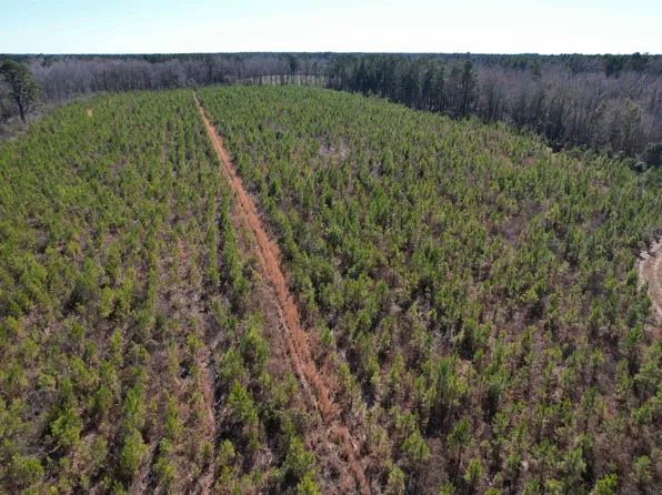 TBD Holliman Rd., Greeleyville, SC 29056