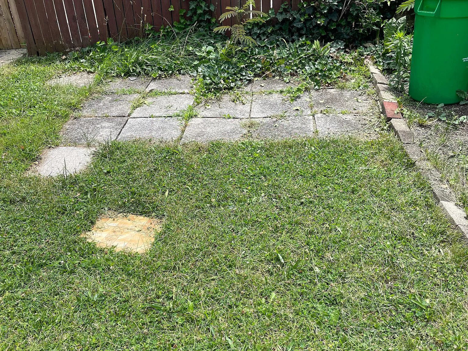 1 bed, 1000 sqft, $1,400 — Photo 3