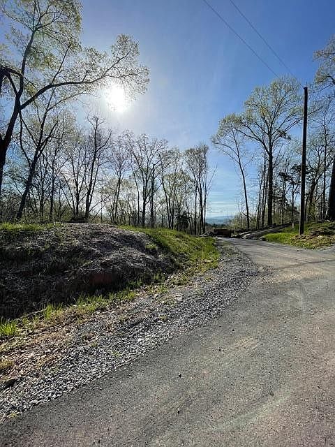 1st image of 0 Ridge Line Trl Lot 95