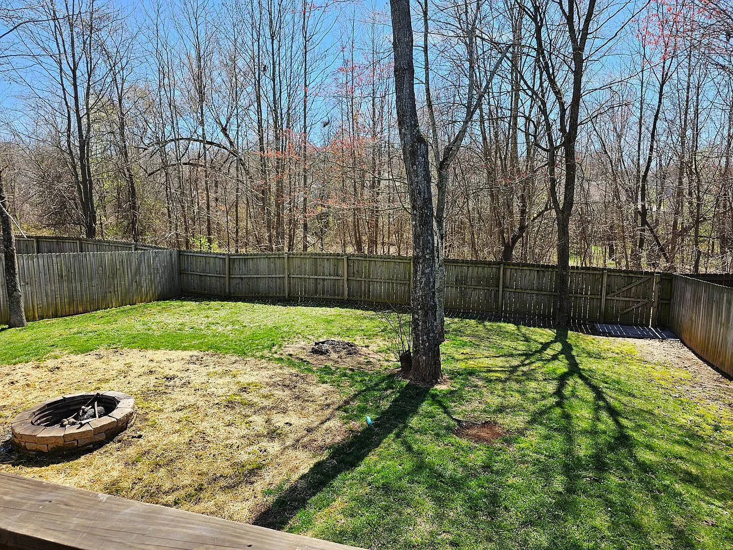 Near Dover Rd. Close to Post! 3 Bed/2 Bath fenced in backyard! — Photo 3