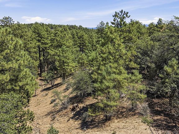 2nd image of 0 W Rustic Trail #110N