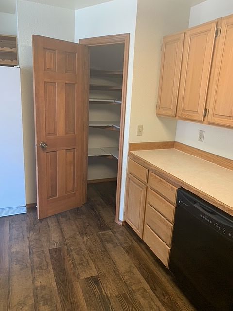 Kitchen with Pantry