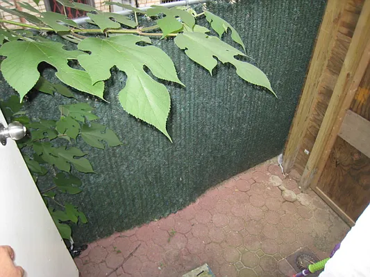 Rented by Rapid Realty Upper West Side LLC | media 54