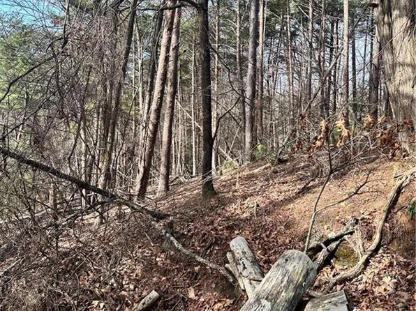 0 Long Swamp Dr #1811, Jasper, GA 30143