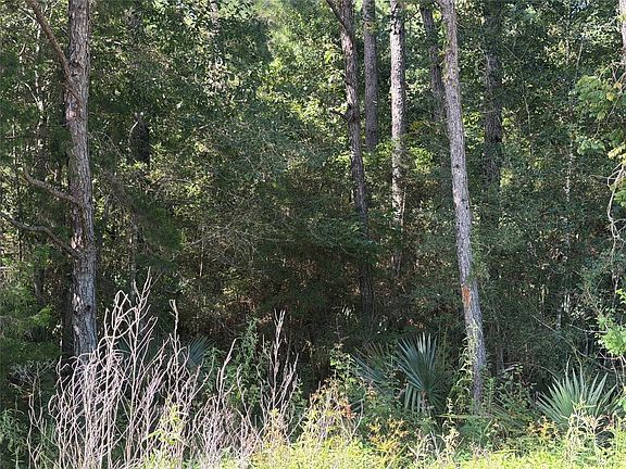 4th image of TRACT 51 Black Cat Rd Lot T-51