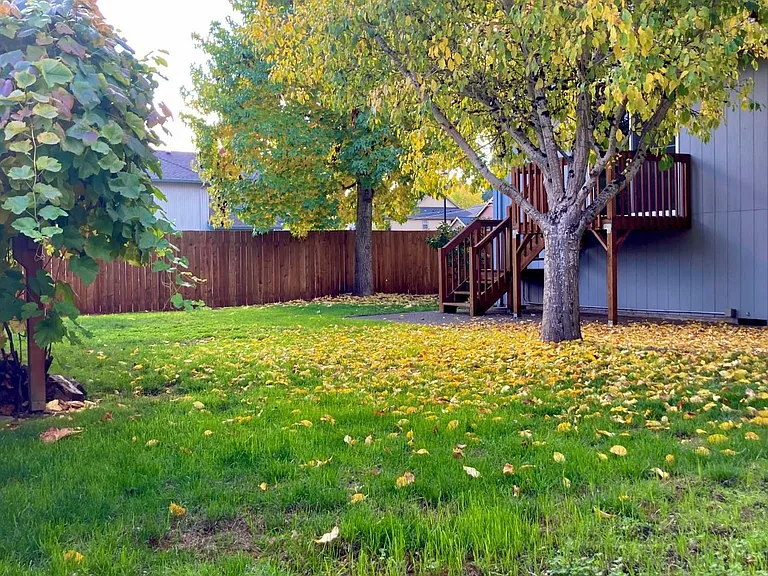 380 NW 150th Ave — Photo 20