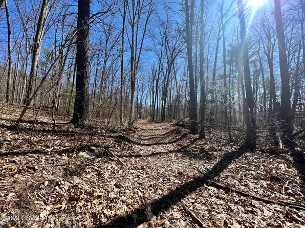 2 Blacks Ln, Shamokin, PA 17872