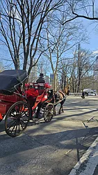 Rented by Kasin Management