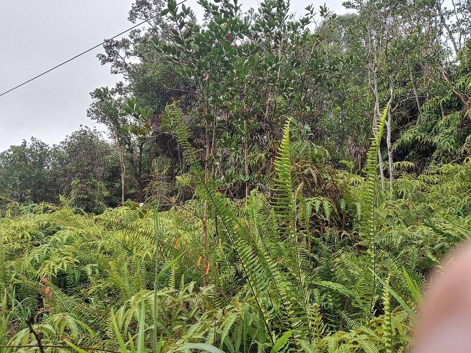 2nd image of Road 2 Lot 2664