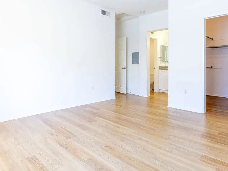 Bedroom with Walk-in Closet