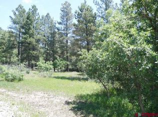 337 Escobar Ave, Pagosa Springs, CO 81147