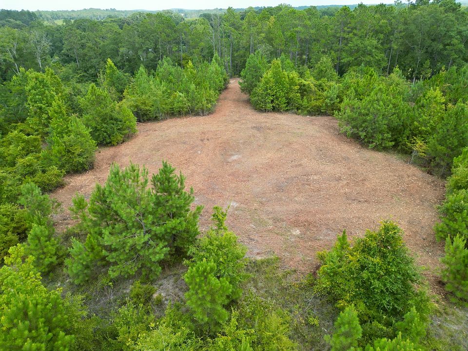 1st image of 3 County Road 1174 #3