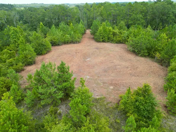 3 County Road 1174 #3, Goshen, AL 36035