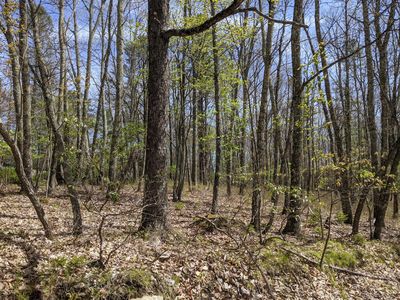 338 Lower Seese Hill Rd, Canadensis, PA, 18325